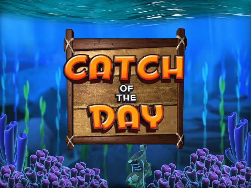 Catch of the Day - Pescaria de prêmios 23bet